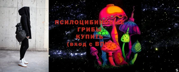 прущие грибы Алексин