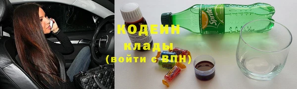 прущие грибы Алексин