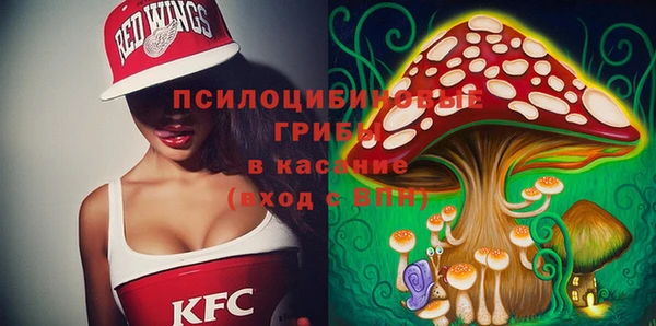 прущие грибы Алексин
