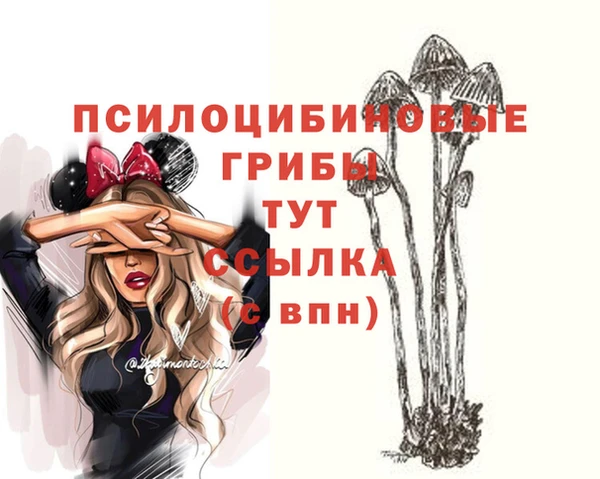 прущие грибы Алексин