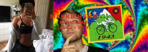 прущие грибы Алексин